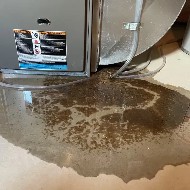 Appliance Leak Cleanup in Kent, OH